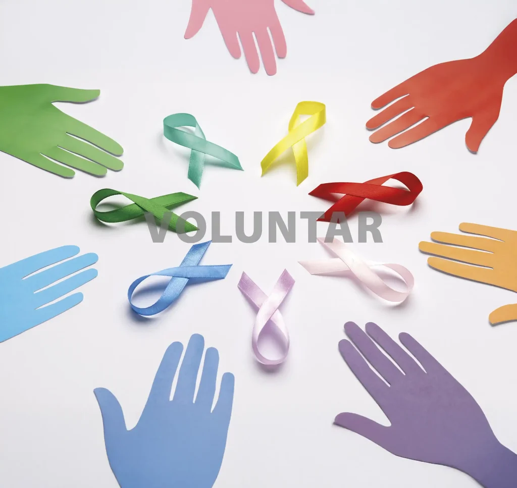voluntar